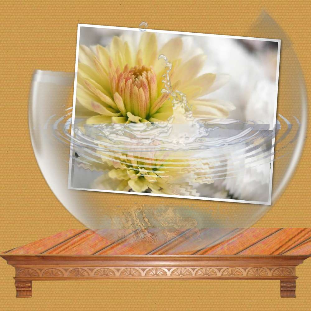 proposition Gilberte Chrysantheme