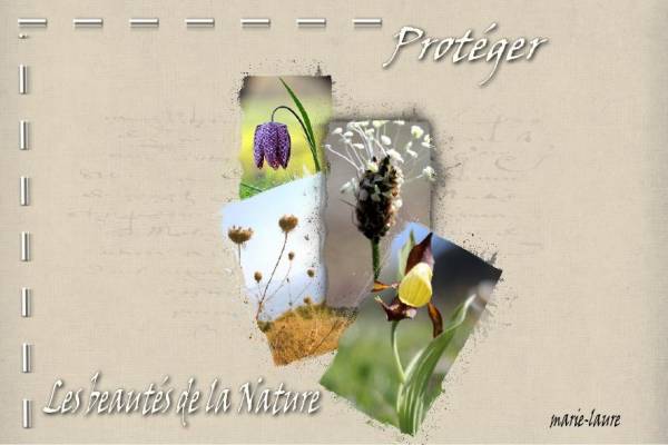Protéger les beautés de la Nature