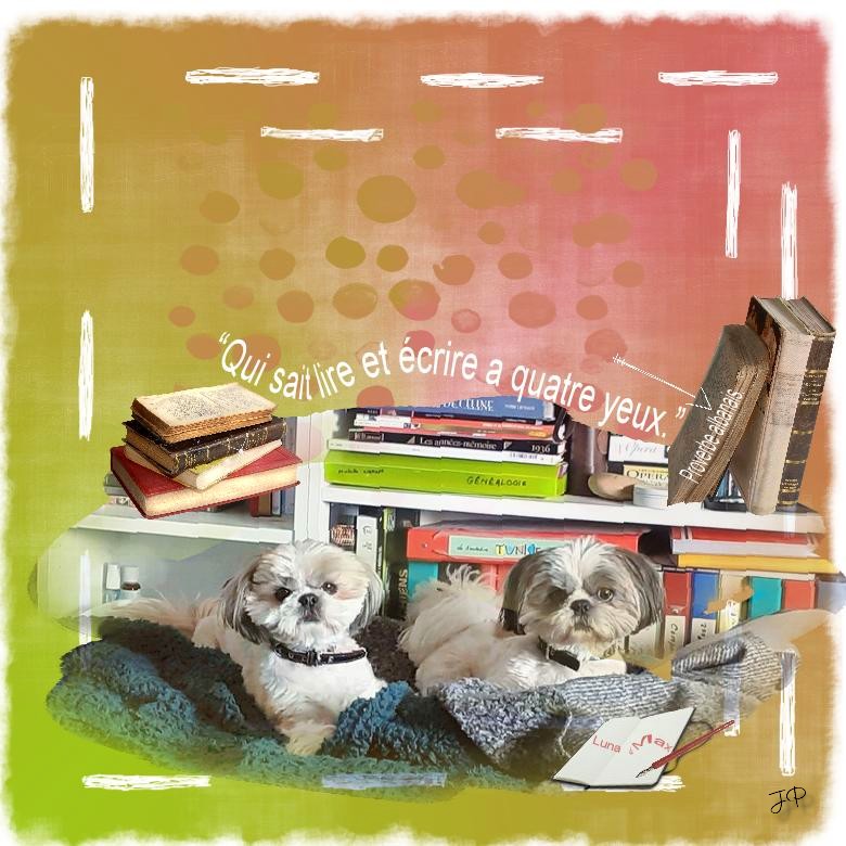 proverbe albanais .jpg