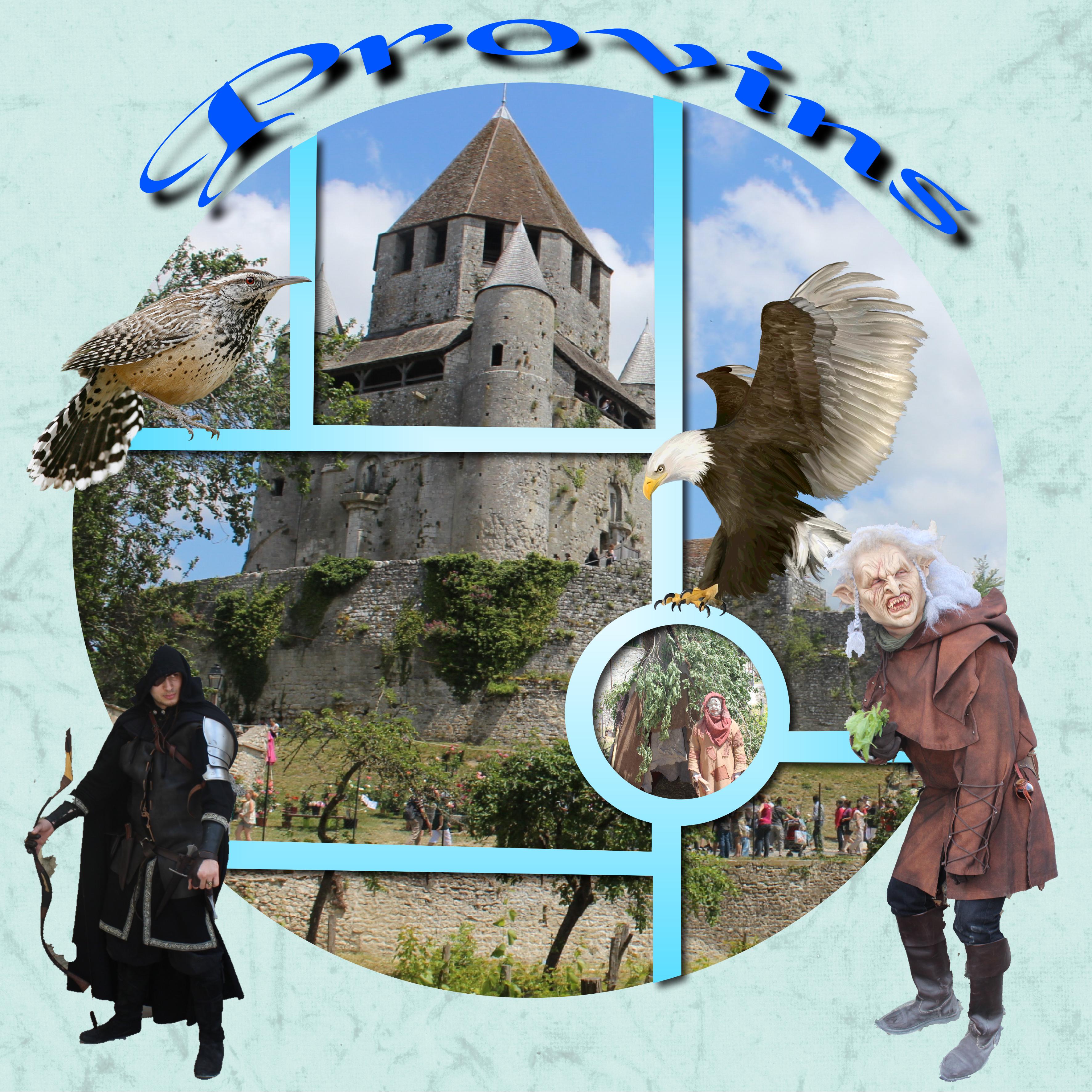 provins  la fête
