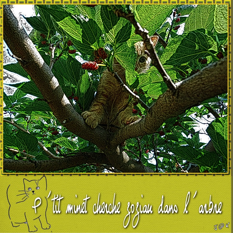p'tit minet cher zozio dans l arbre (page 1).jpg