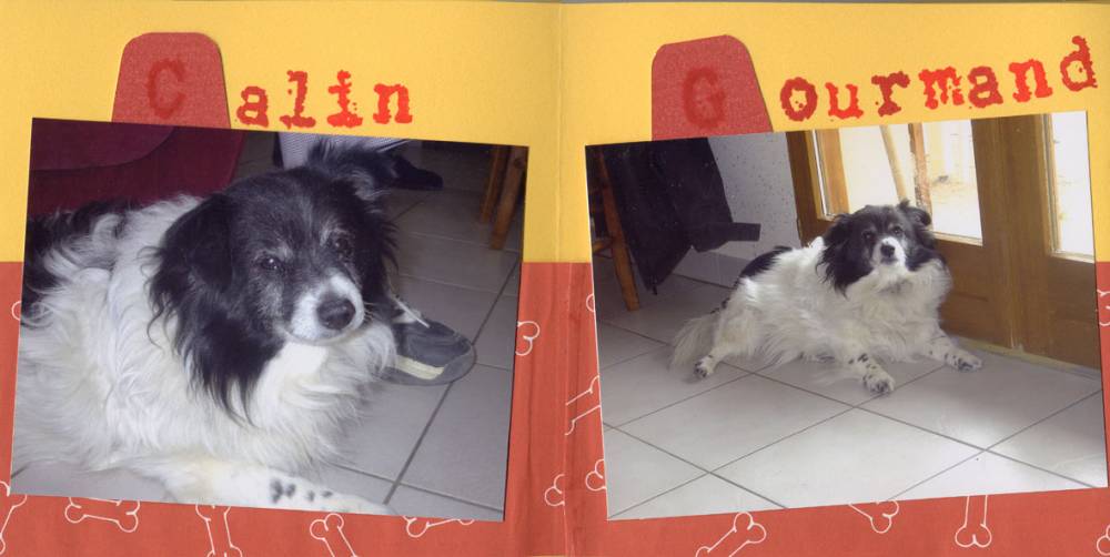 P'tits frères pages 3-4