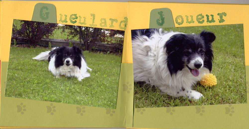 P'tits frères pages 5-6