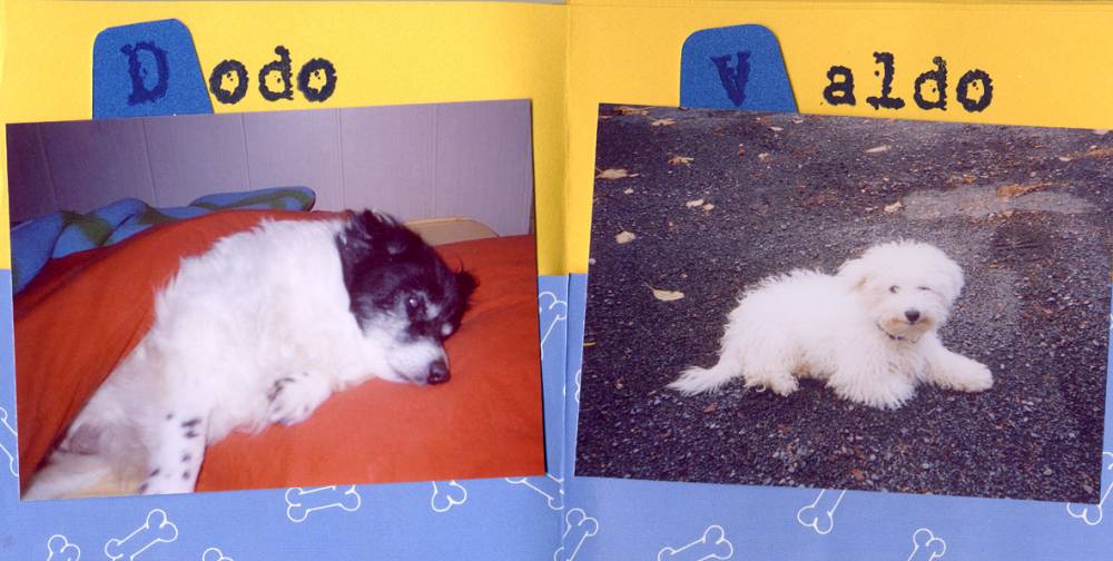 P'tits frères pages 7-8