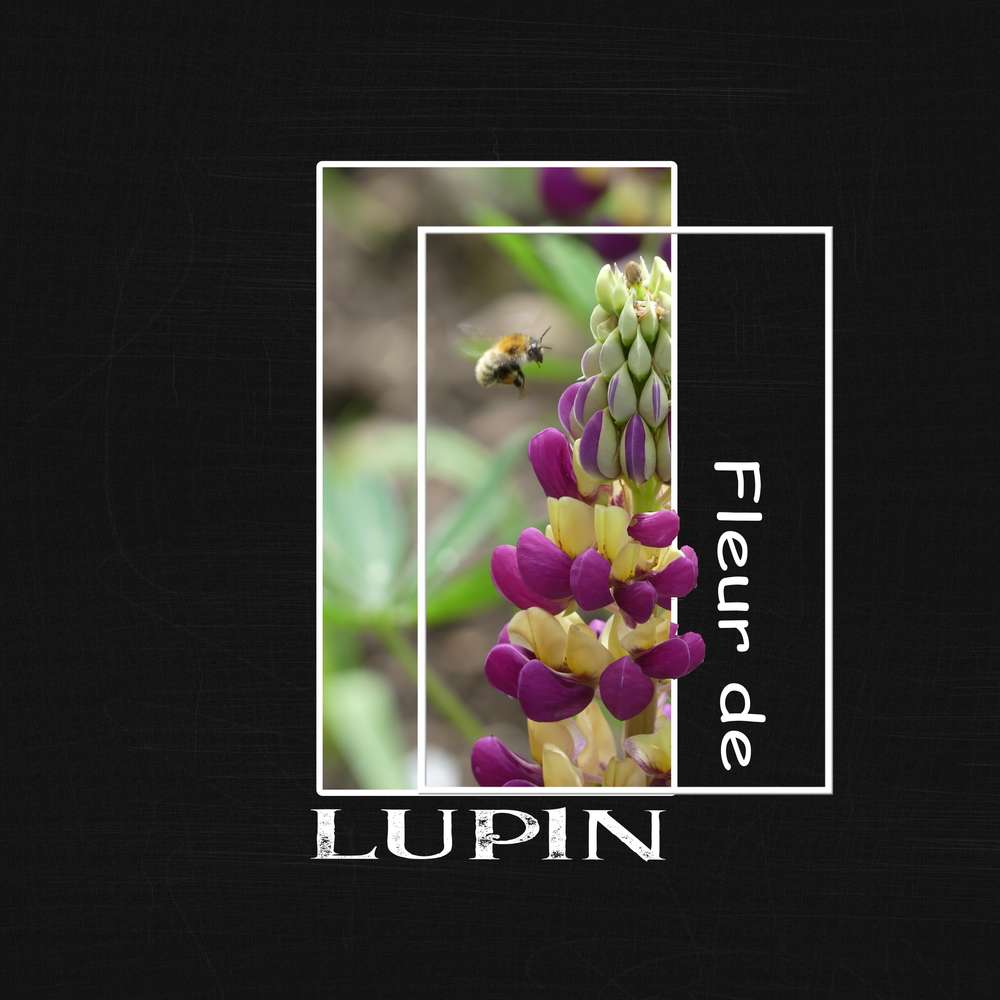 Publiscrap fond noir