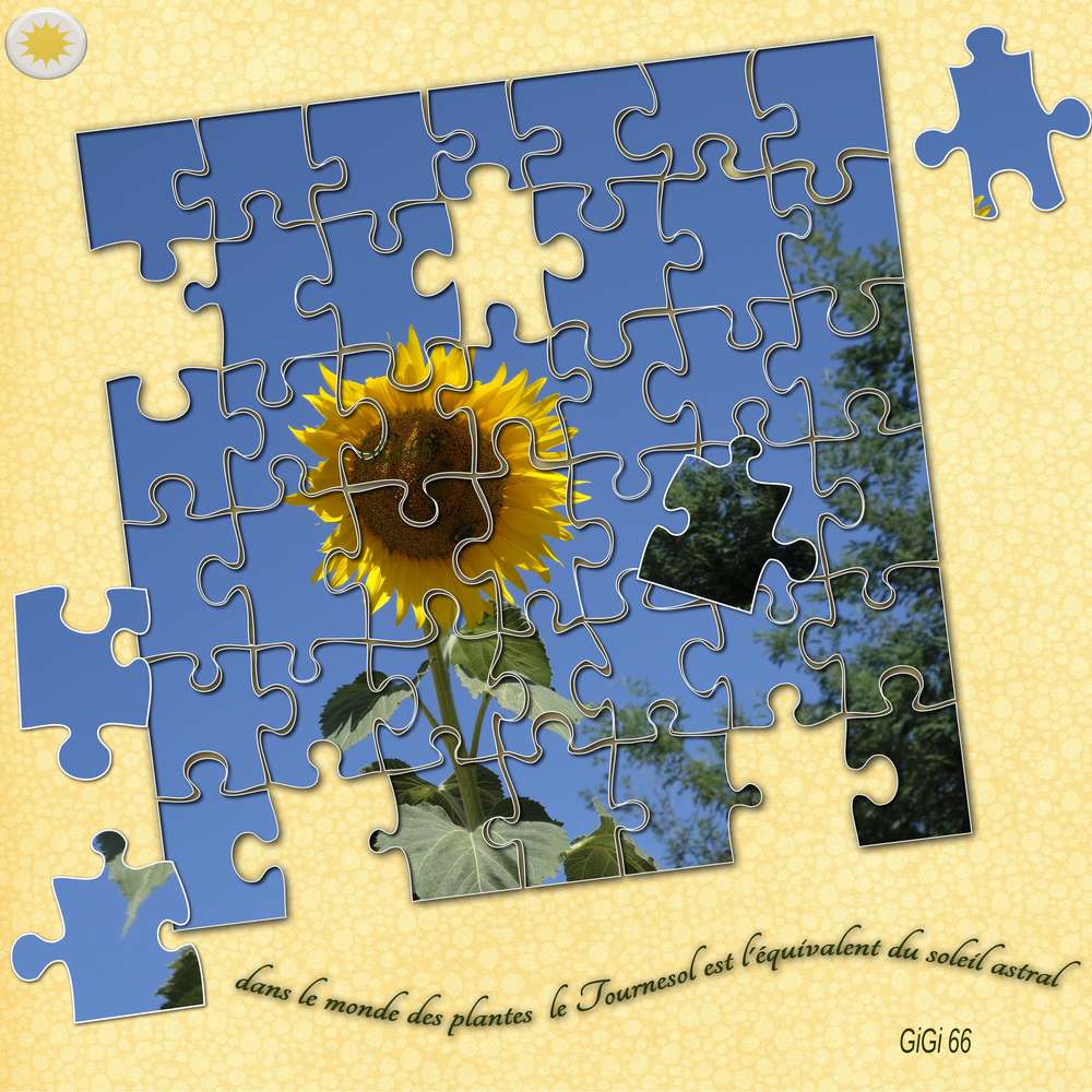 puzzel défi Gilberte