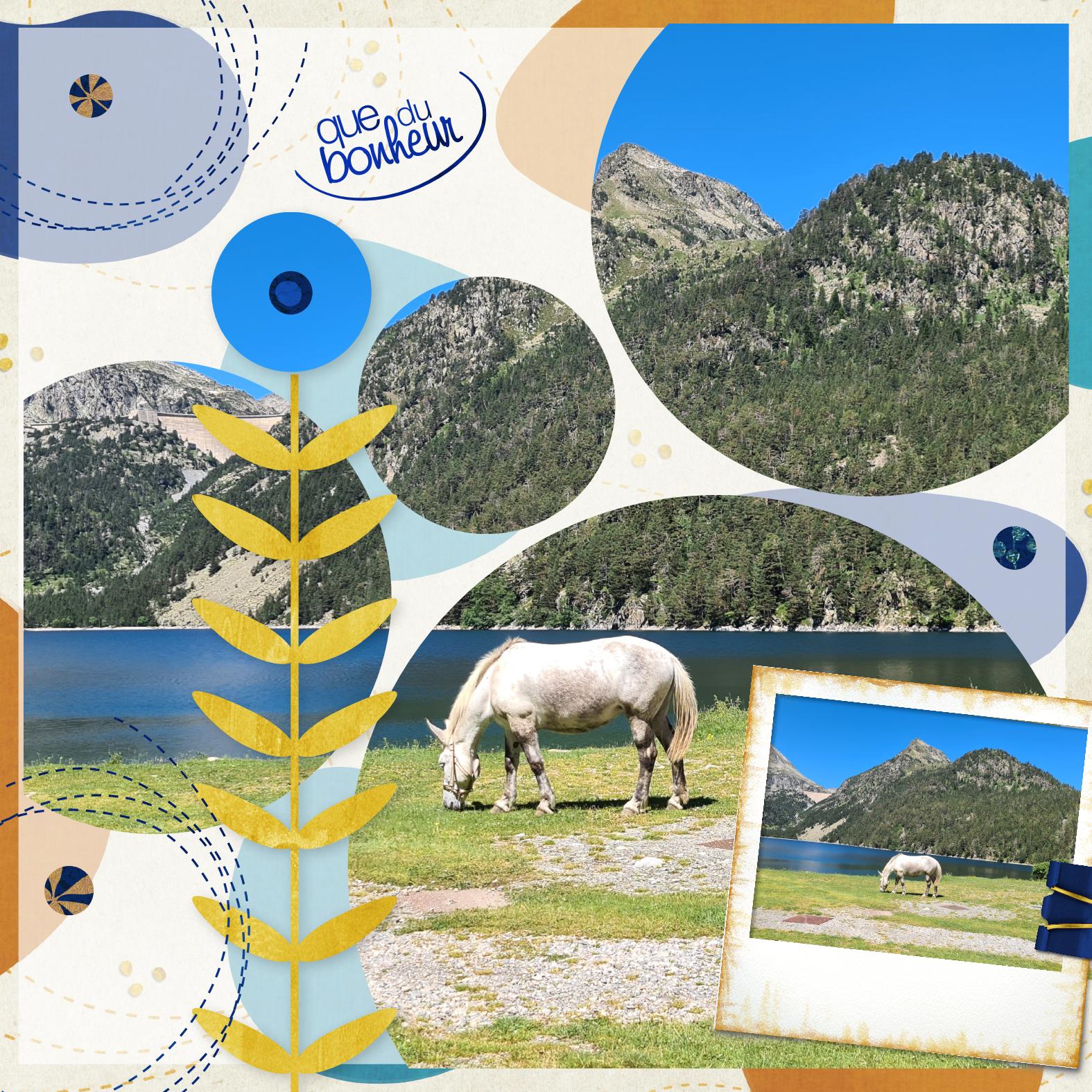 Pyrenees juin 22 .jpg