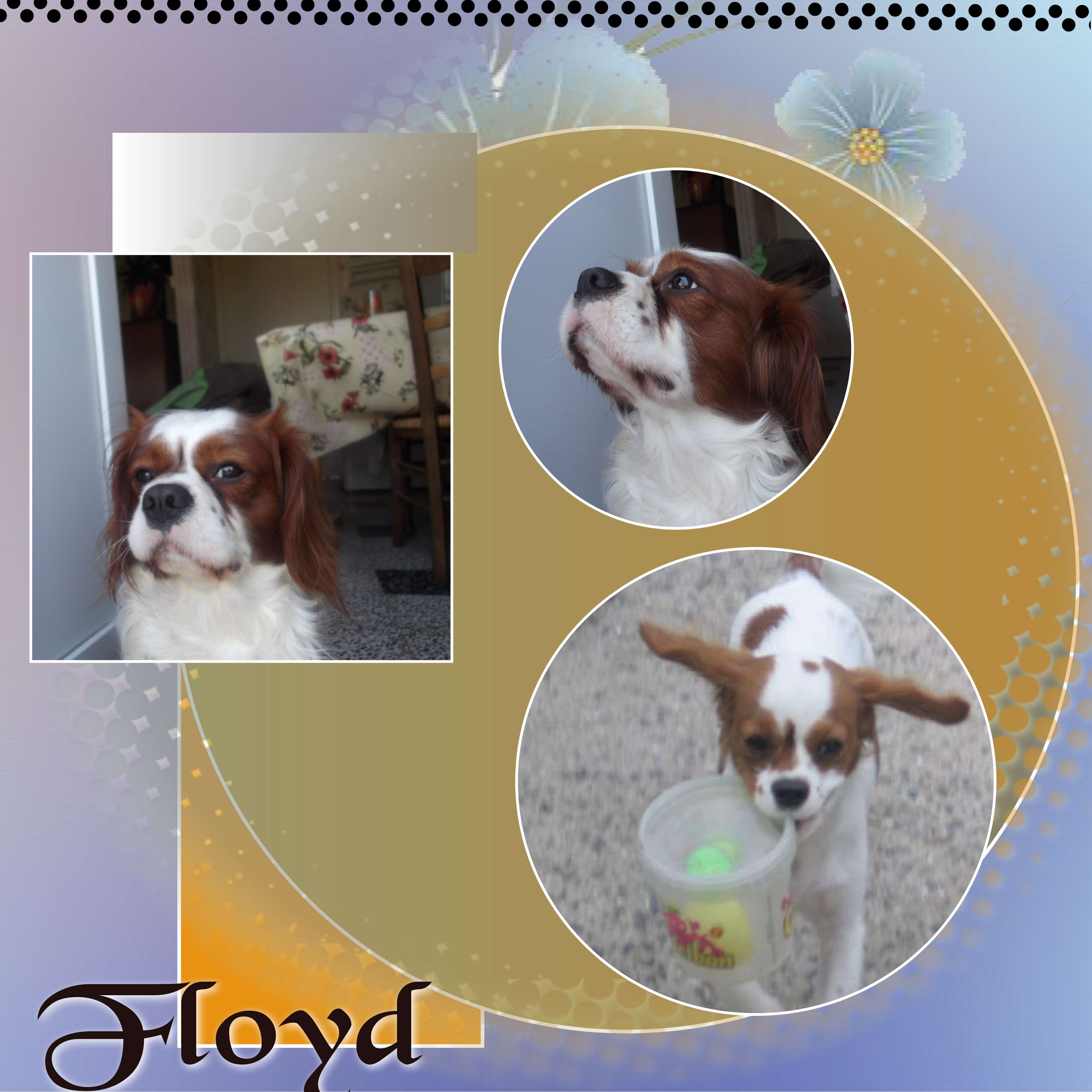 quand  j etait  petit.jpg