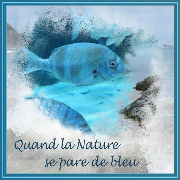 QUAND LA NATURE SE PARE DE BLEU