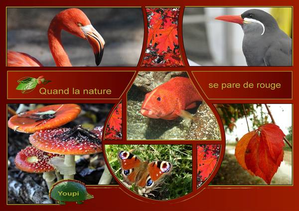 QUAND LA NATURE SE PARE de ROUGE
