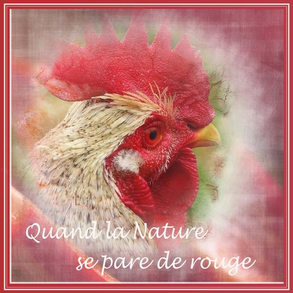 QUAND LA NATURE SE PARE DE ROUGE