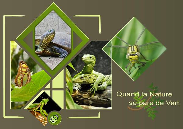 QUAND LA NATURE SE PARE de VERT