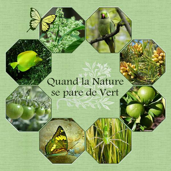 QUAND LA NATURE SE PARE de VERT