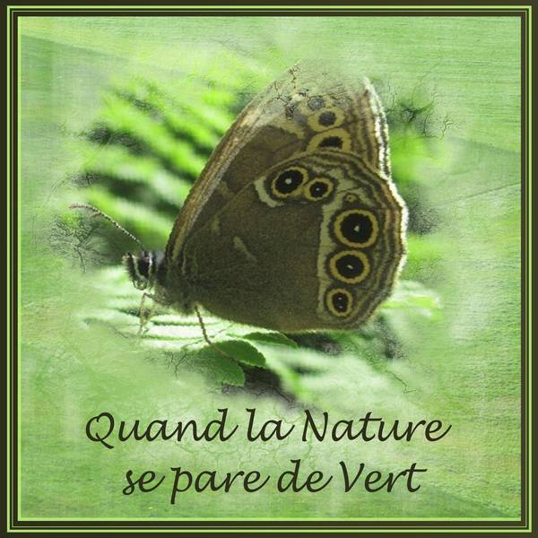 QUAND LA NATURE SE PARE DE VERT