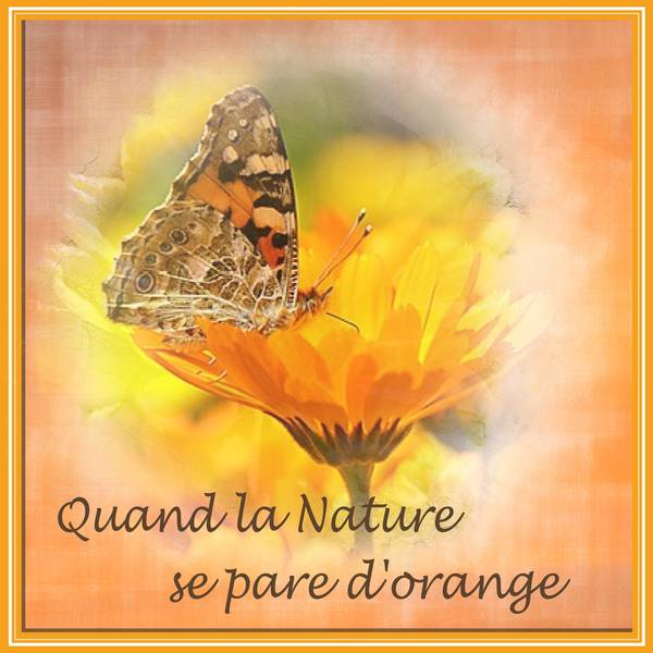 QUAND LA NATURE SE PARE D'ORANGE