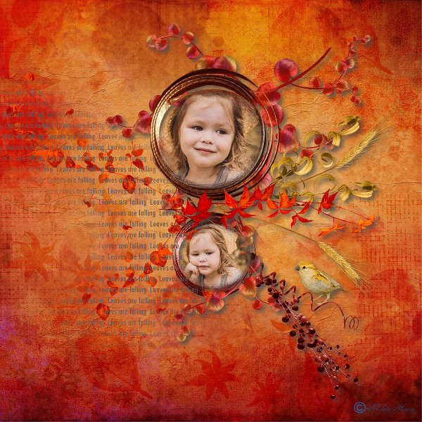 Quand les feuilles tombent