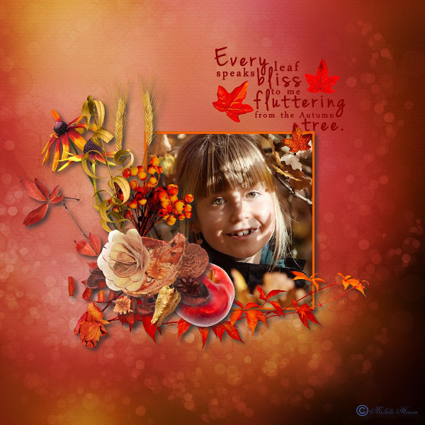 Quand les feuilles tombent