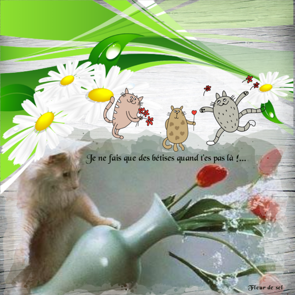 Que des bétises !...  :)