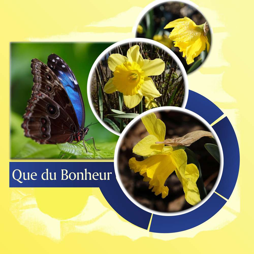 QUE DU BONHEUR