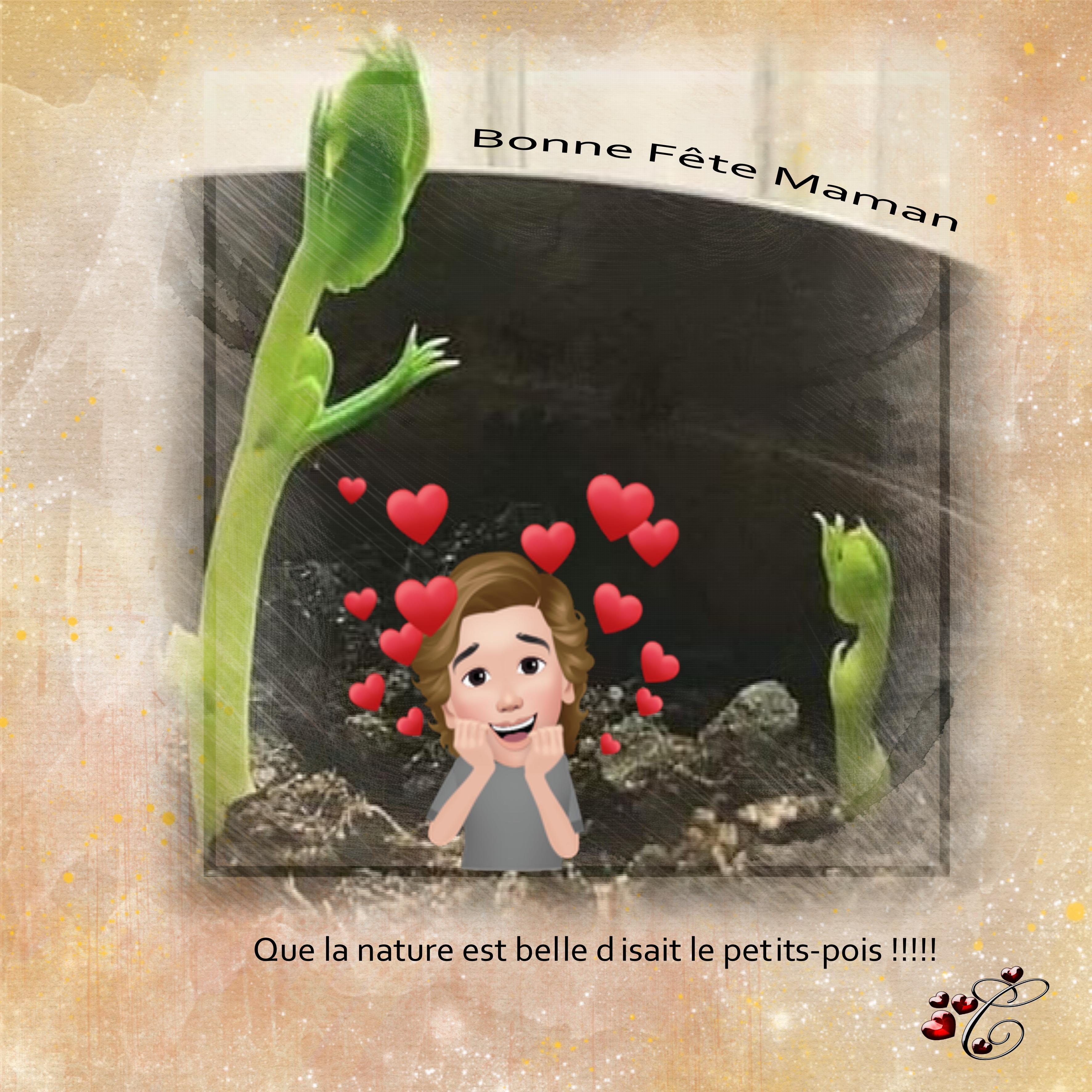 Que la nature est belle .jpg