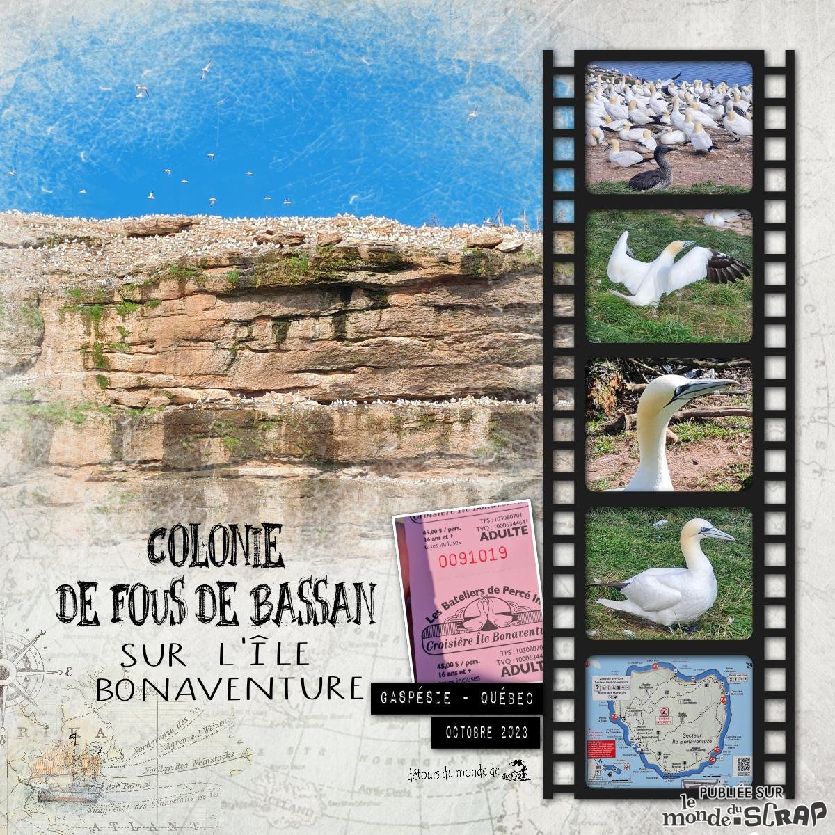 Québec - ile Bonaventure