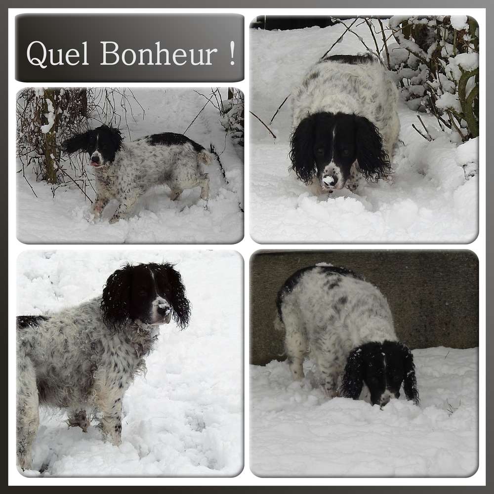 QUEL BONHEUR !