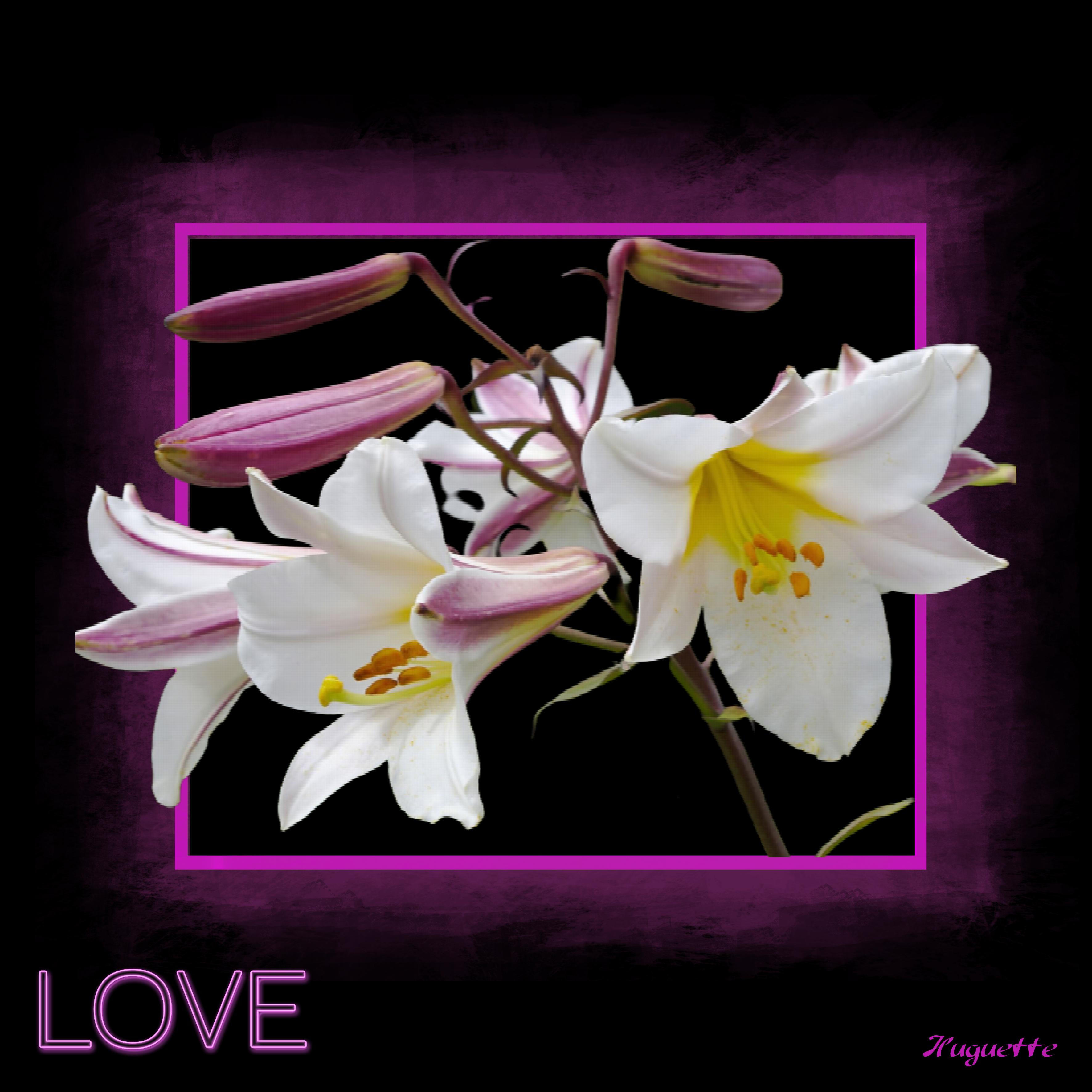 quelques fleurs de la part d'Huguette