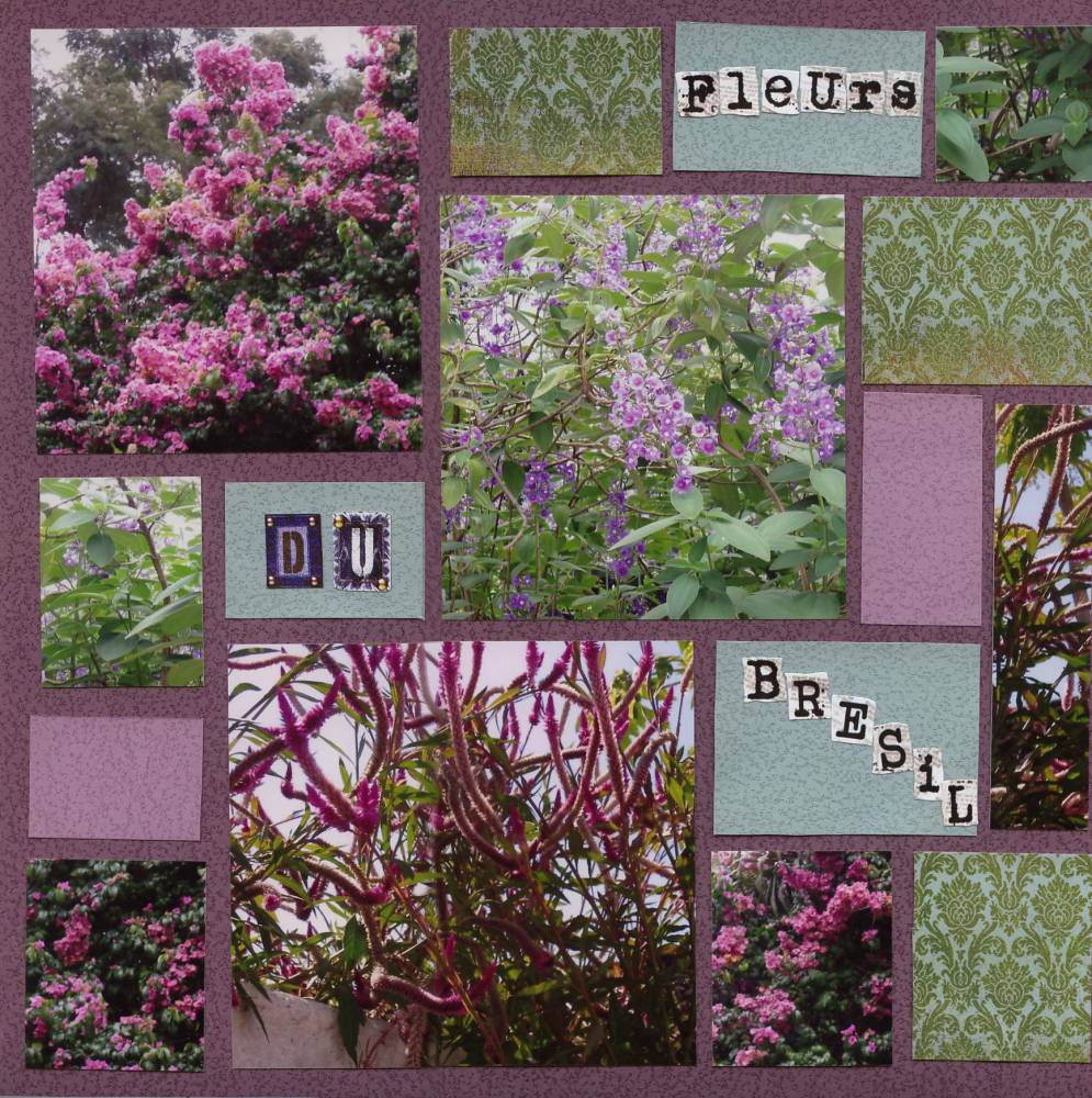 quelques fleurs du Brésil