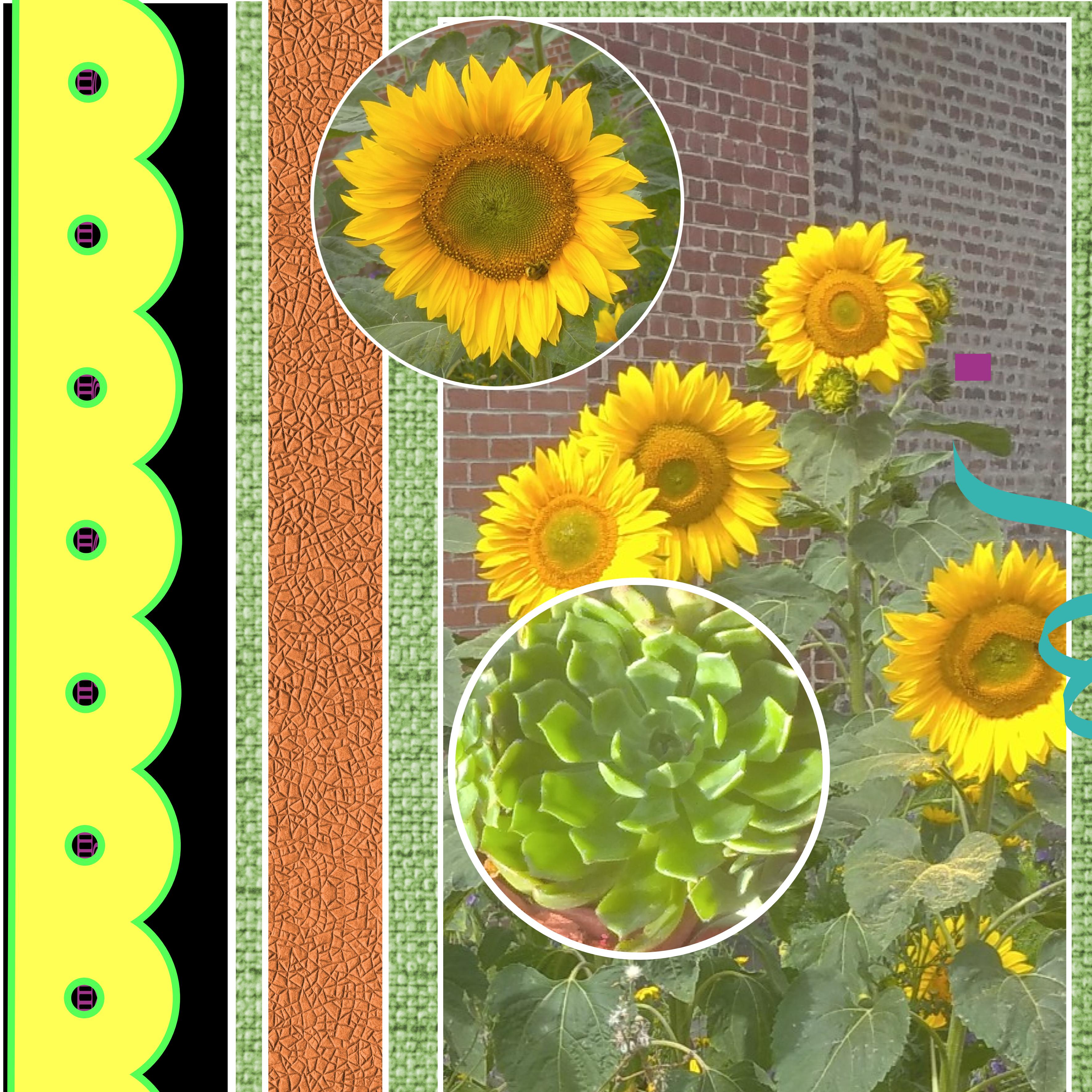 quelques  fleurs.jpg