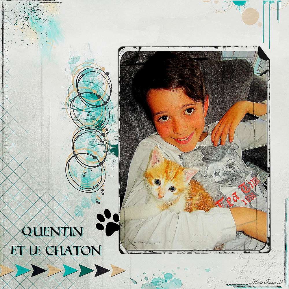 QUENTIN ET LE PETIT CHATON