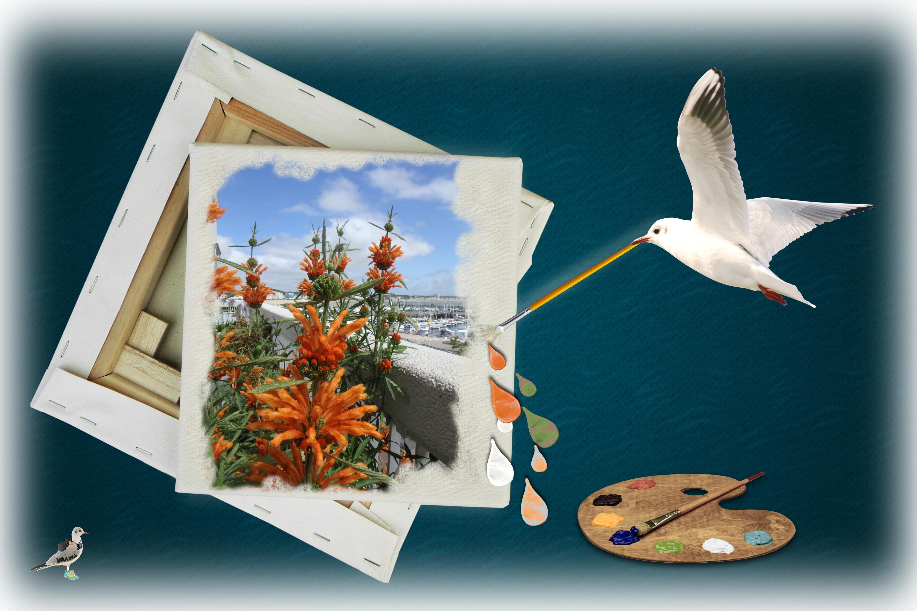 queue de lion .........