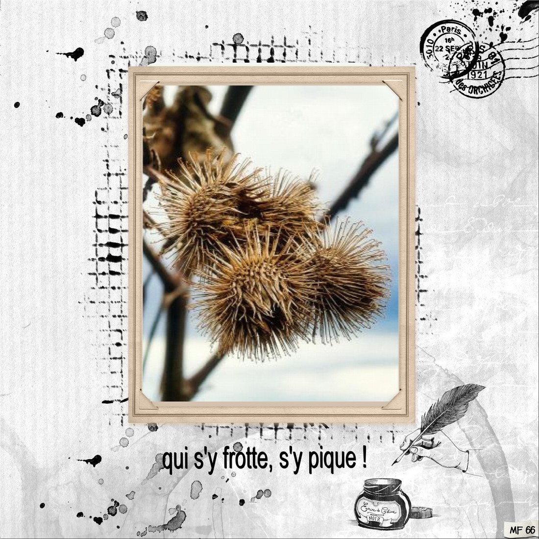 qui s'y frotte s'y pique.jpg