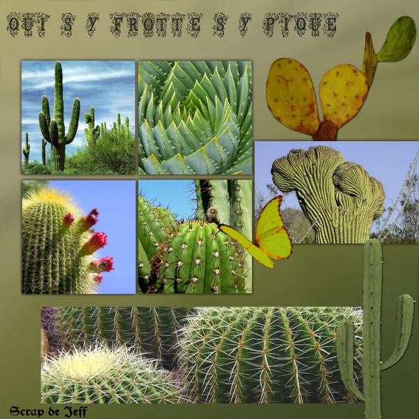 Qui s'y frotte, s'y pique.