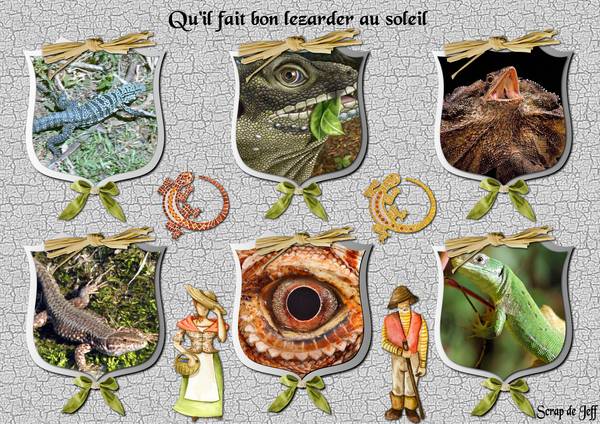 Qu'il fait bon lézarder.