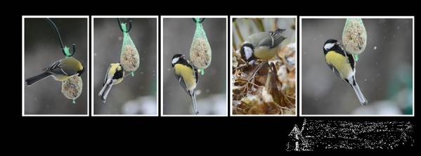 quint___de_m__sanges