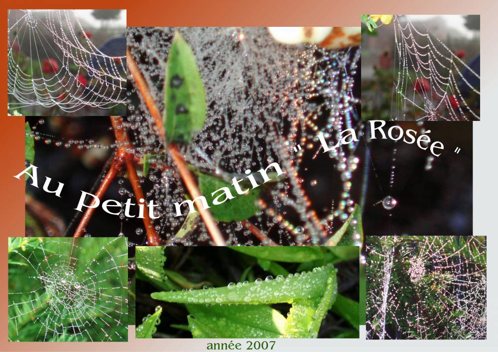 " La rosée "