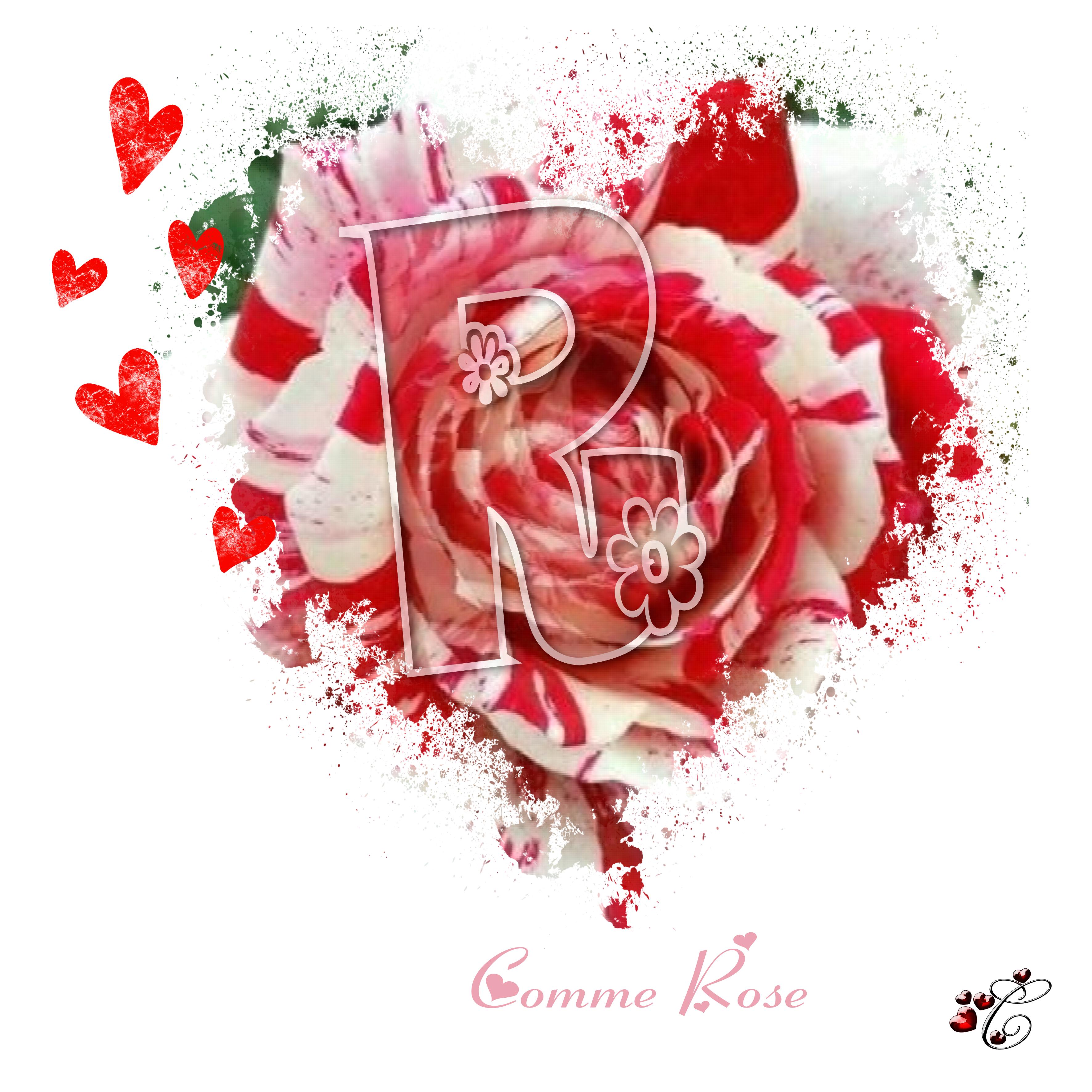 R comme rose  Christine .jpg