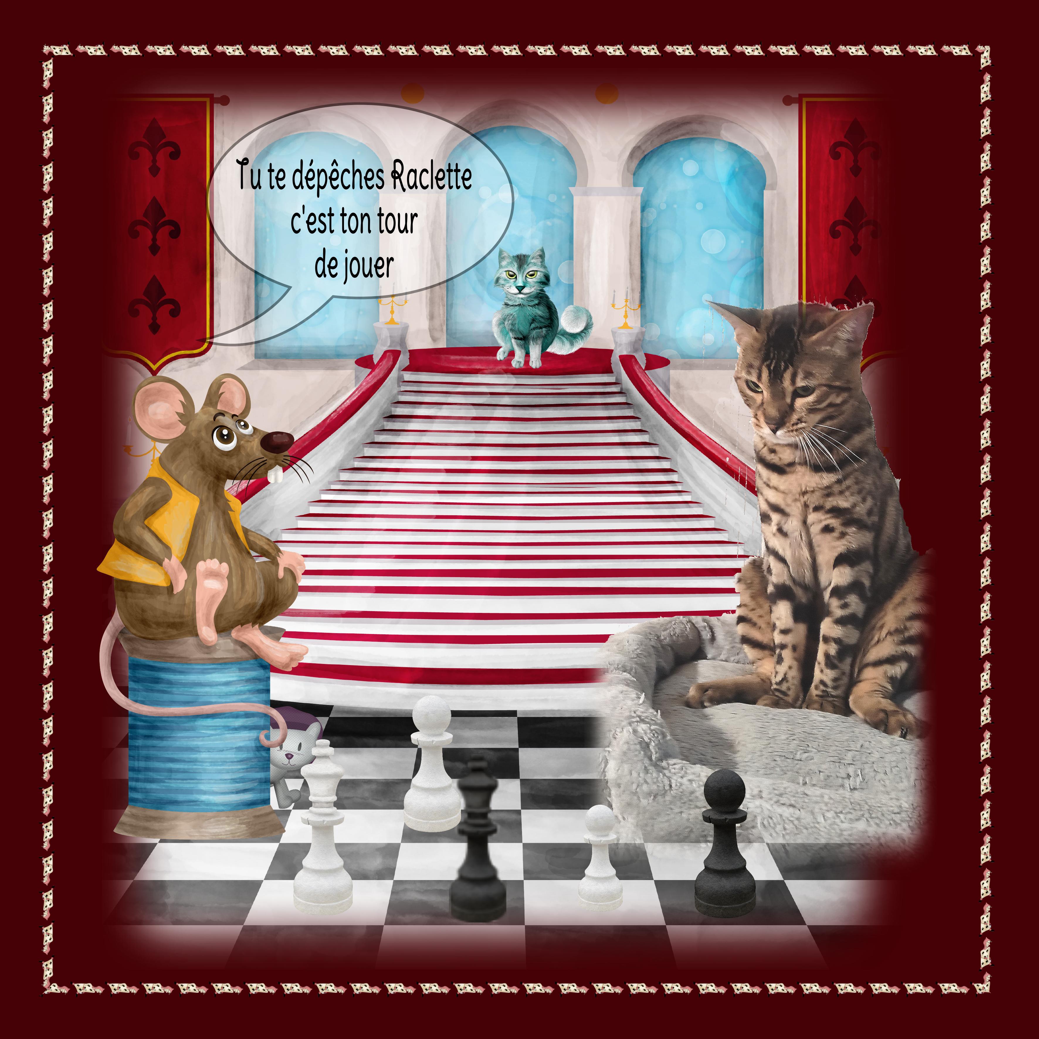 Raclette bien assis réflèchit.jpg