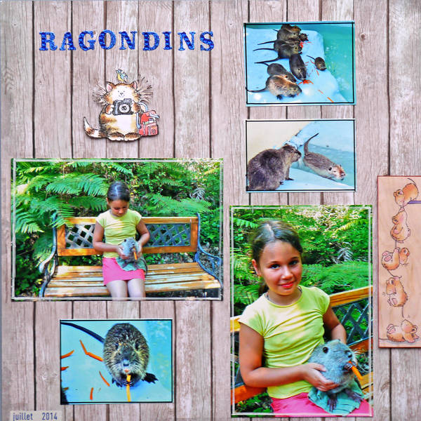 ragondins