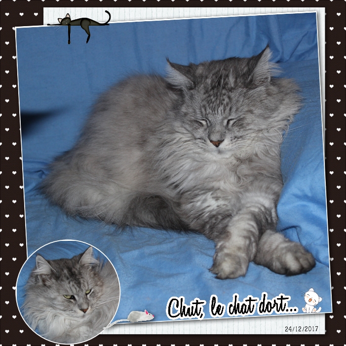 Ralya chut il dort.jpg