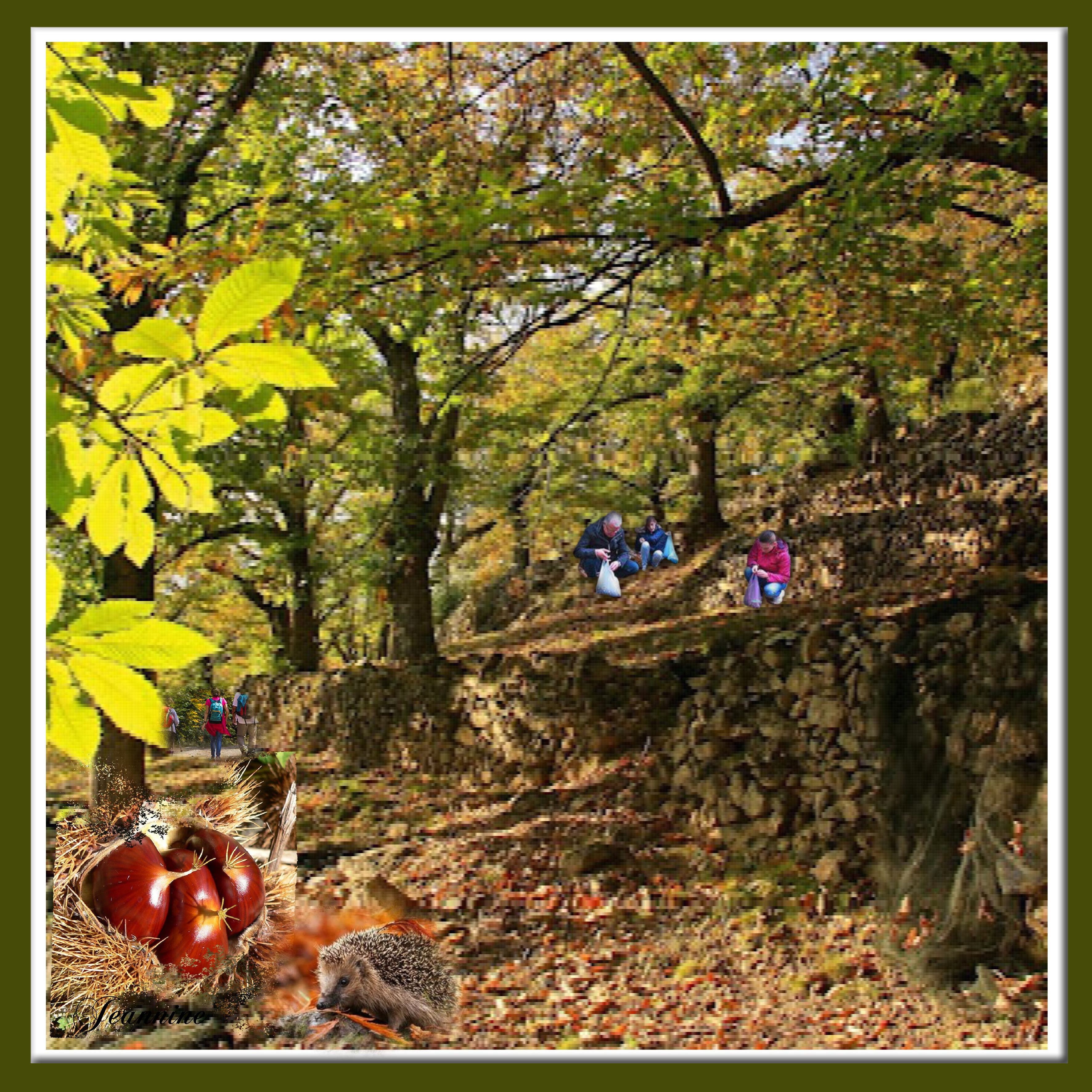 ramassage de châtaignes en foret  par Jeannine