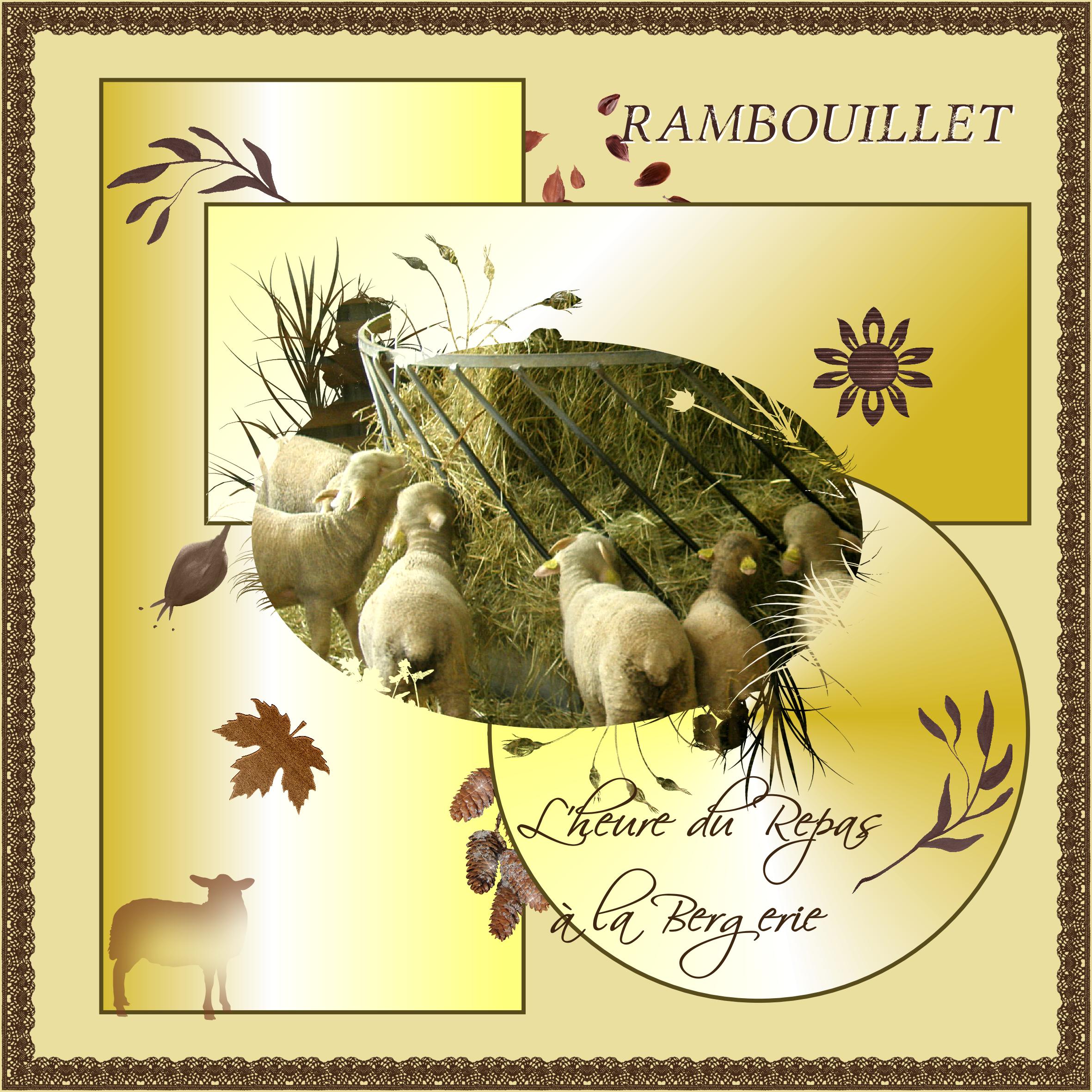 Rambouillet La Bergerie.jpg