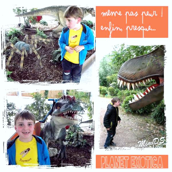 Raph - Jardins du Monde 1