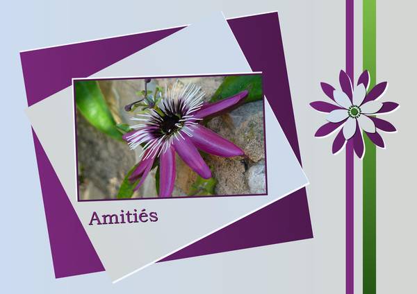 REALISATION - AMITIES