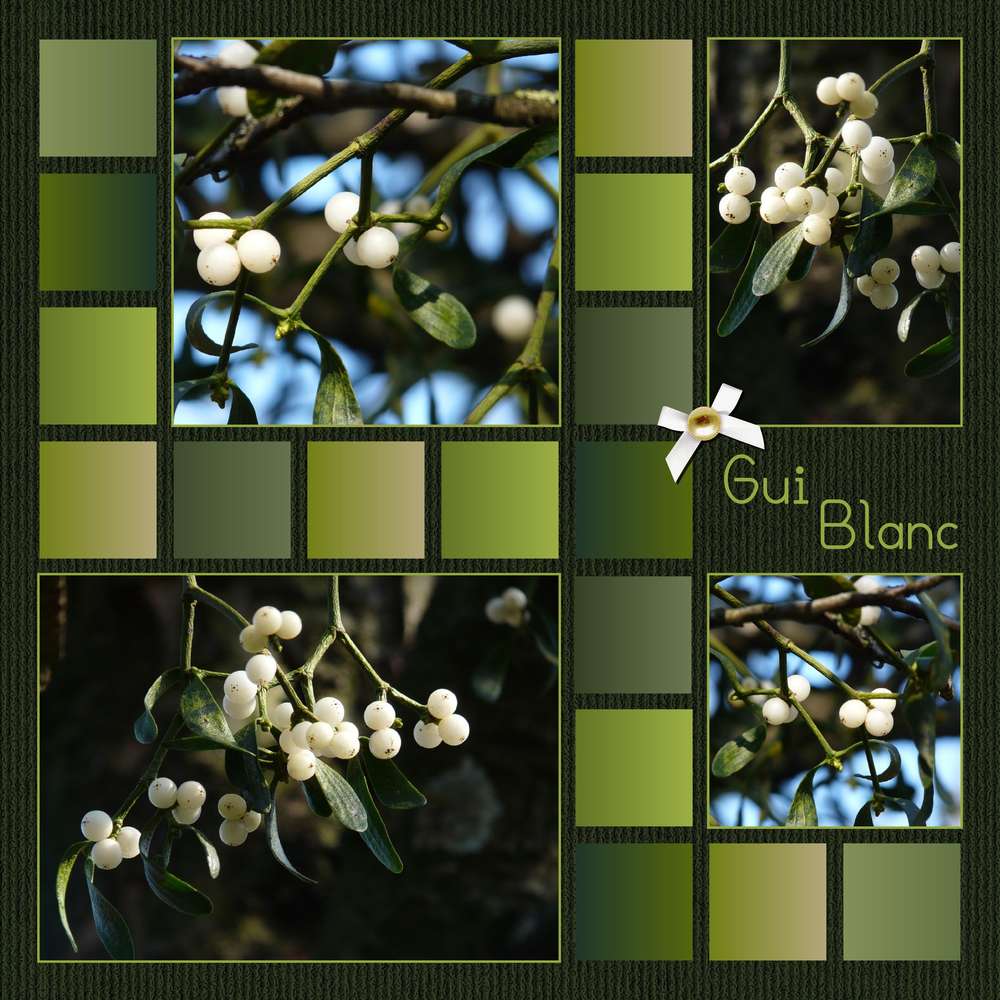 REALISATION DU CHALLENGE-MODELE --- GUI BLANC