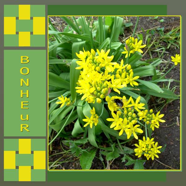 REALISATION du SCRAPLIFT - BONHEUR