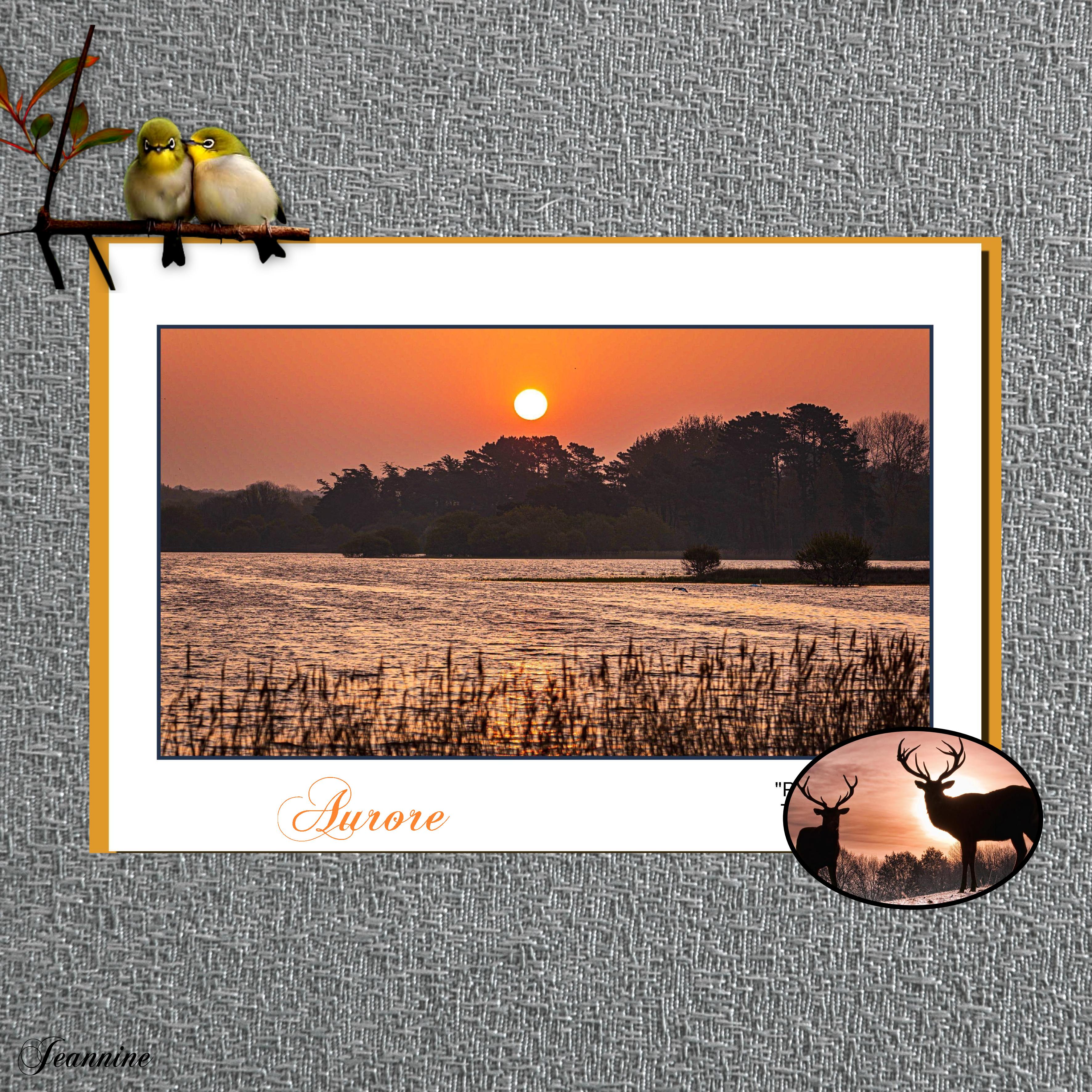 Réalisation sur l'Aurore- Jeannine.jpg