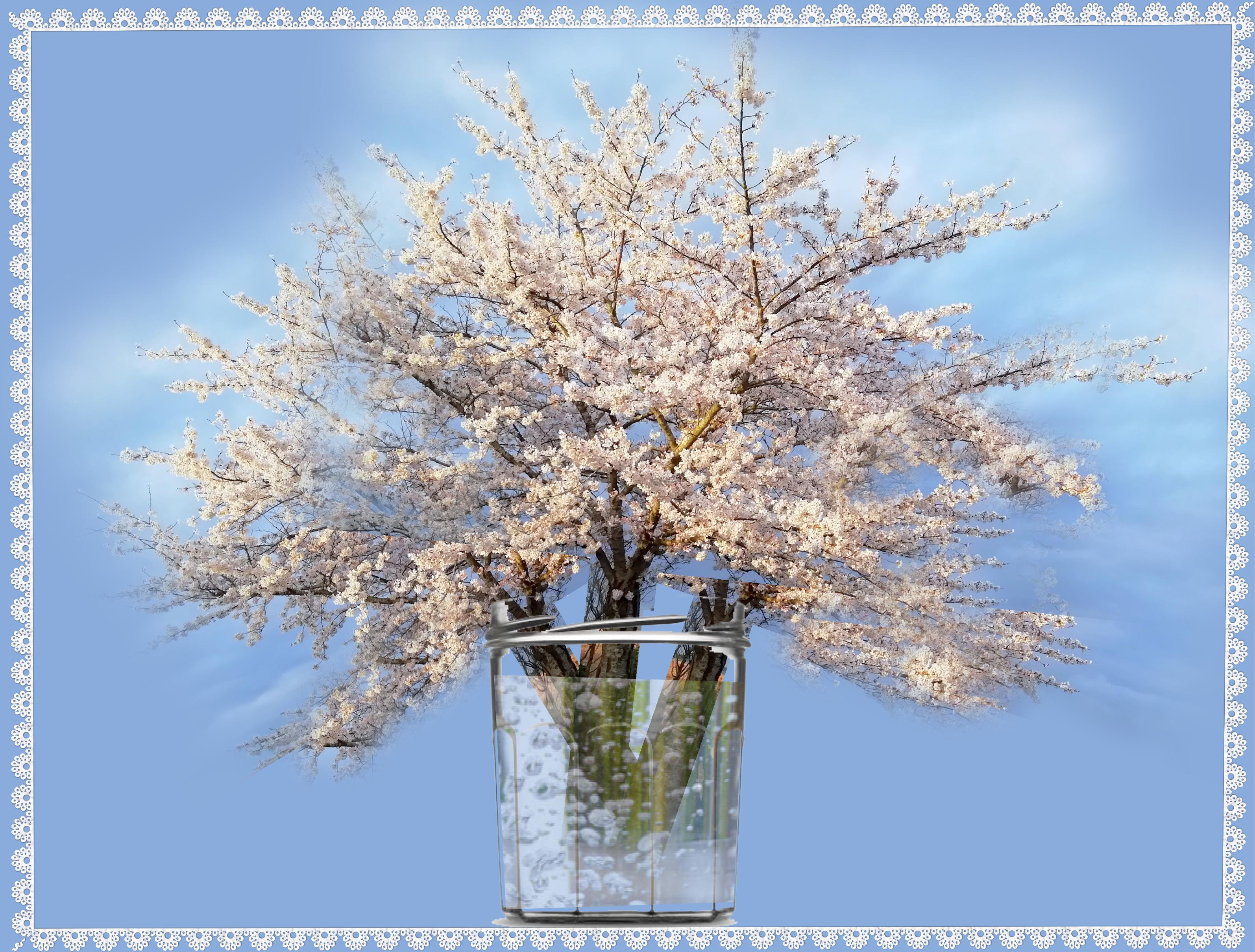 Realisation_ du_21-03-21.jpg