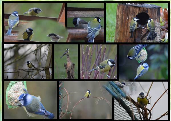 Realisation_du_02-01-14