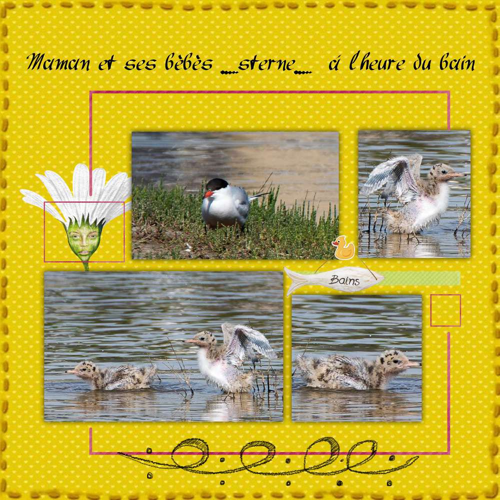 Realisation_du_02-07-16_b__b__s_sterne